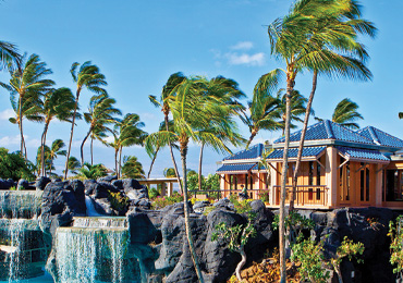 Orthopedics Today Hawaii 2029